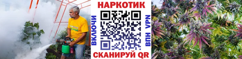 Купить наркотики сайты Шахунья Гашиш A PVP Меф Галлюциногенные грибы Марихуана АМФЕТАМИН