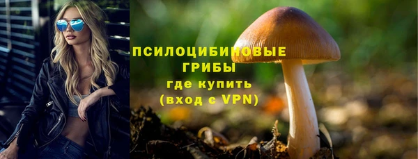 экстази Покачи