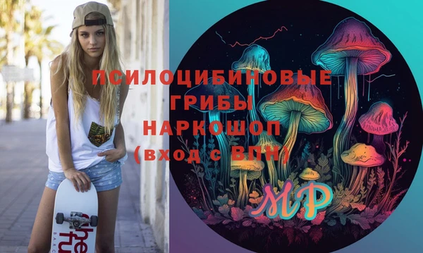 mdpv Белокуриха