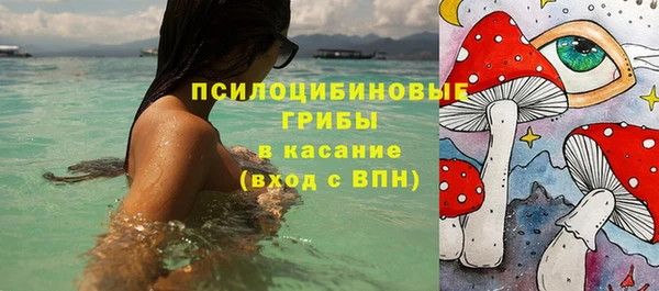 mdpv Белокуриха